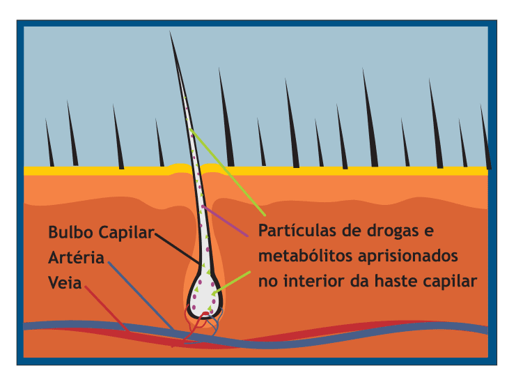 O que é a cadeia de custódia do Exame Toxicológico?